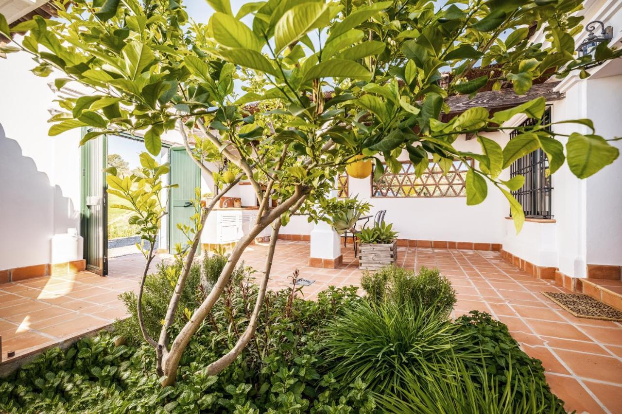 Rosas Cantares: Casa Maurus. Pizarra Luaran gambar